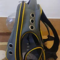 وسایل پت خانگی|لوازم جانبی حیوانات|بروجرد, |دیوار