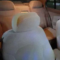 سمند ای اف سون مدل ۹۹ دوگانه کارخانه|خودرو سواری و وانت|قم, چهل درخت|دیوار