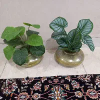 گلدان و گل مصنوعی|گل مصنوعی|ایلام, |دیوار