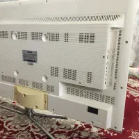 تلویزیون|تلویزیون و پروژکتور|مشهد, شهید معقول|دیوار