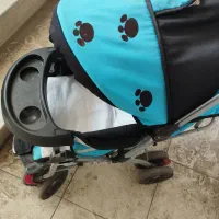 کالسکه سالم