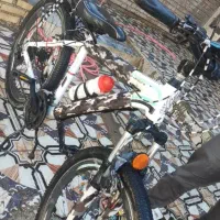 المپیا ۲۶ در حد نو ۲۰۲۵