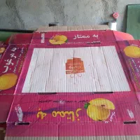 کارتن جعبه دایکاتی میوه به (هیوا)