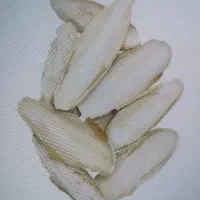 فروش عمده‌ کف دریا