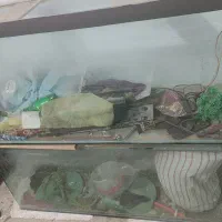 اکواریم شرکتی|ماهی|قم, امامزاده ابراهیم|دیوار