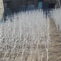 حفاظ شاخ گوزنی نرده آبشاری در وپنجره