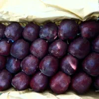 شریک و سرمایه برای بساط میوه|فعالیت داوطلبانه|مشهد, شهرک رازی (شهرک غرب)|دیوار