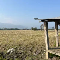 مزرعه-سند-دار-3200-متر