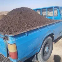 باغچه خاک موجود|گل و گیاه طبیعی|اهواز, کوی ملی راه|دیوار