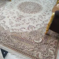 فرش ۵۰۰ شانه ۹متری|فرش|بوشهر, |دیوار