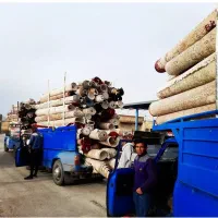 قالیشویی و مبل شویی نزدیک شما تماس(۲۲۲۲ ۳۳۳۳)