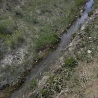 زمین-بایر-باغی-نزدیک-شهر