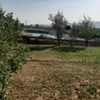 استخرذخیره آب کشاورزی وباغ پسته|فروش دفتر صنعتی، کشاورزی، تجاری|تربت‌حیدریه, پائین ولایت|دیوار