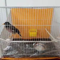 مینا۸ماهه بازیگوش