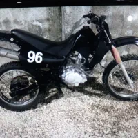 تریل مزایده