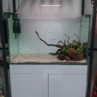 آکواریوم ریملس ۱۰ میل در حد نو|ماهی|شهریار, شهرک بهاران (ویره)|دیوار