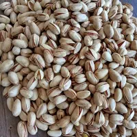 زمین  پسته هرات مروست