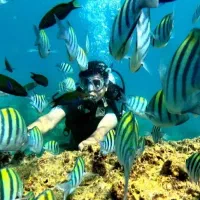 تفریحات آبی شاتل پاراسل غواصی کشتی کنسرت جنگ