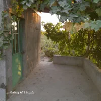 باغ انگور بادرختان بادام وغیره|فروش دفتر صنعتی، کشاورزی، تجاری|بشاریات, |دیوار
