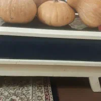 انواع کدوهای خوشمزه محلی