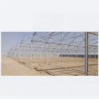 ساخت گلخانه|خدمات باغبانی و درختکاری|دوگنبدان, |دیوار