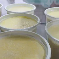 لبنیات محلی