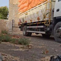 کاه درجه یک