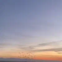 راهنمایی طلب