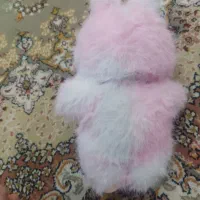 لبوبو|اسباببازی|سقز, |دیوار