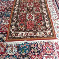 قالی دستباف|فرش|شهرکرد, |دیوار