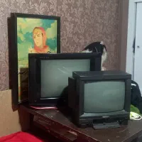 تلویزیون