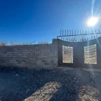 باغچه درخت برق