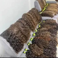 خریدارموهای شمابانوان عزیز ودختر بچه های گل