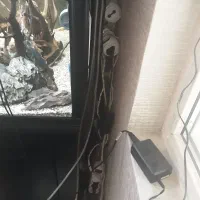 اکواریوم ۴۵۰ لیتری اب شیرین فول لوازم فول مراقبت|ماهی|چمران, |دیوار