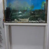 اکواریوم  کاملا سالم  با پایه ارتفاع ۵۰سانت عرض ۸۰