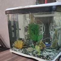 آکواریوم شرکتی با کلیه لوازم