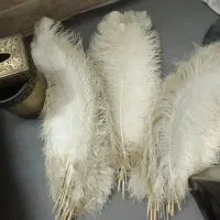 شاه پر علامت