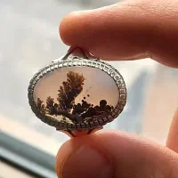 انگشتر شجر تک