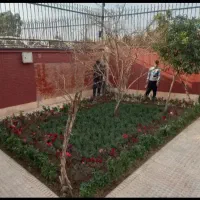 خدمات باغبانی هرس کاری گل  کاری تمام نقاط تهران