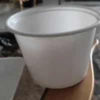 ظروف یکبار مصرف