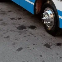 مینی بوس و ون دربستی