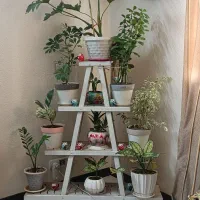 استند چوبی گلدان