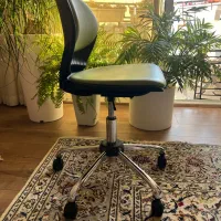 صندلی چرخدار