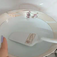 سرویس توس چینی شکیل