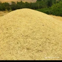 معامله کاه وعلوفه به صورت عمده