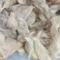 فروش پشم گوسفند