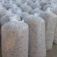 تفاله چغندر درجه یک