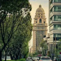 1370 متر /براصلی  جردن /تک مالک/بدون ریشه