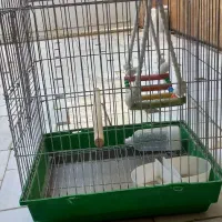 قفس پرنده