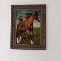 فرش دستباف و تابلو فرش دستباف|فرش|چالوس, |دیوار